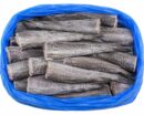 Hake Fish