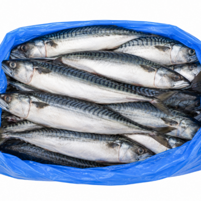 Mackerel Fish